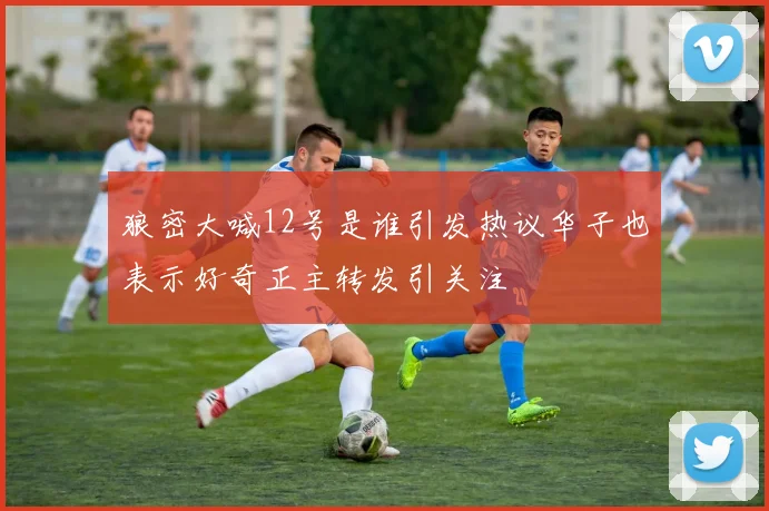 狼密大喊12号是谁引发热议华子也表示好奇正主转发引关注