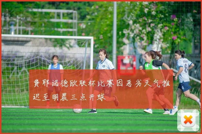 费耶诺德欧联杯比赛因恶劣天气推迟至明晨三点开球