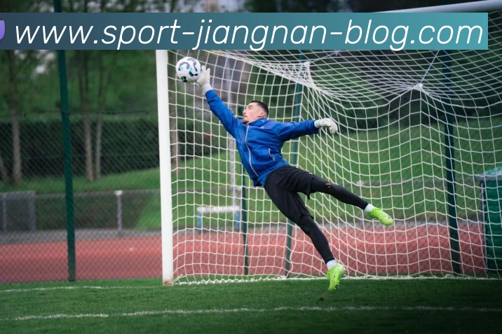 江南体育平台生态图